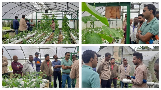 10th training program on Morden Polytunel Agriculture Photo Gallery